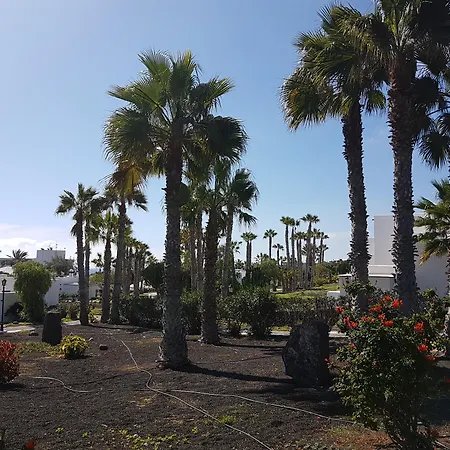 Palmeras Garden-2